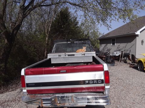1994 Ford Bronco - A cat rests on a toolbox in the bed of a red and silver pickup truck, with a yellow car parked nearby.
