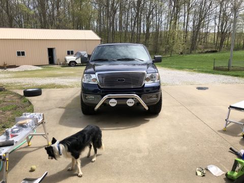 2005 Ford F-150 - A dark blue Ford F-150 pickup truck is parked in a driveway with a dog nearby. A white truck is visible in the background.
