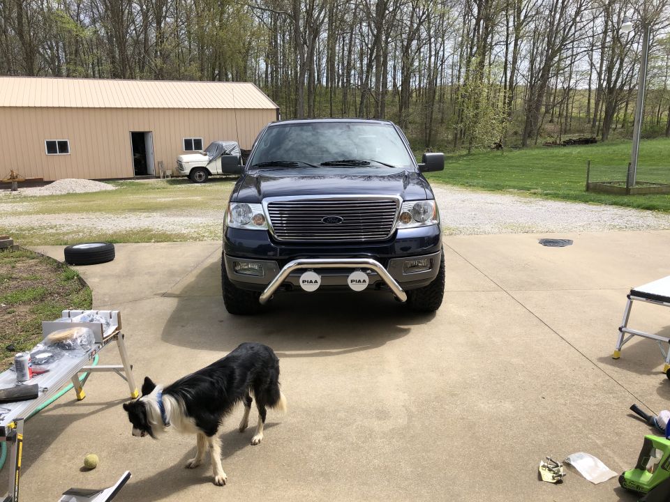 Front view of a dark blue 2005 Ford F-150 with a chrome bull bar and PIAA lights. A dog stands in the driveway