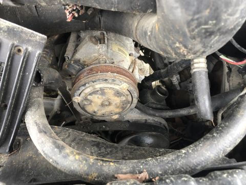 1995 Ford Bronco - Close-up view of engine components, including the AC compressor and drive belts.
