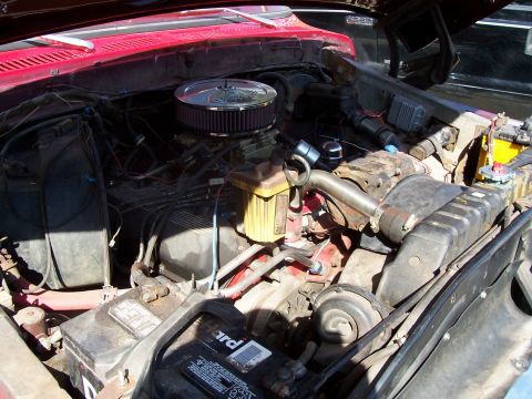 1979 Ford Bronco - View of the engine compartment, a prominent chrome air filter and a yellow reservoir.