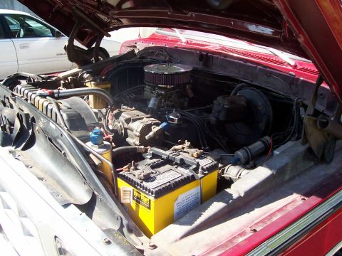1979 Ford Bronco - Engine bay details of a red truck, with a white car in the background.