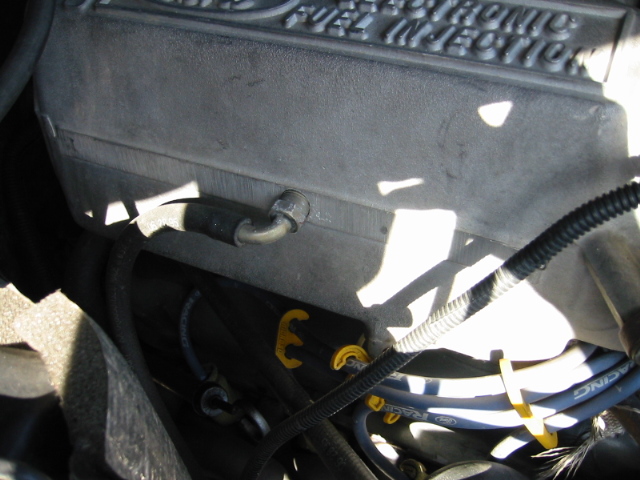 Dusty black 'FUEL INJECTION' cover in engine bay with blue Ford Racing plug wires