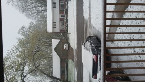 Dark sedan's rear in snow, parked on street with houses and trees