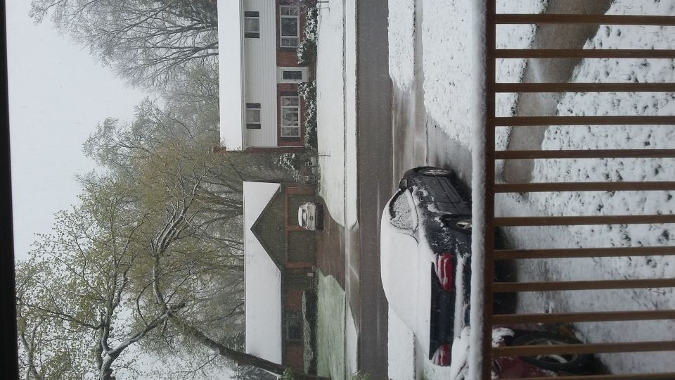Dark sedan's rear in snow, parked on street with houses and trees