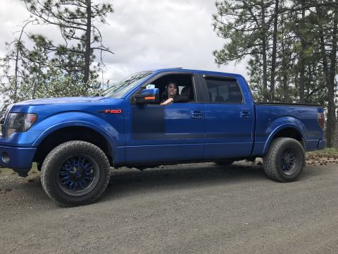 2013 Ford F-150 - Side profile of a blue 2013 Ford F-150 pickup truck parked on a dirt road.