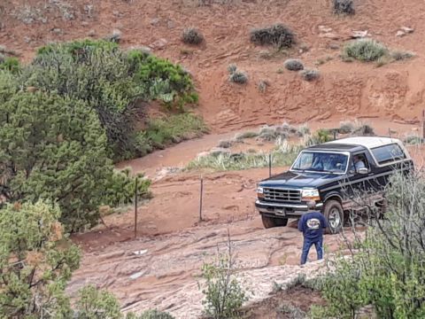 1985 Ford Bronco
