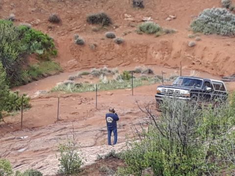 1985 Ford Bronco