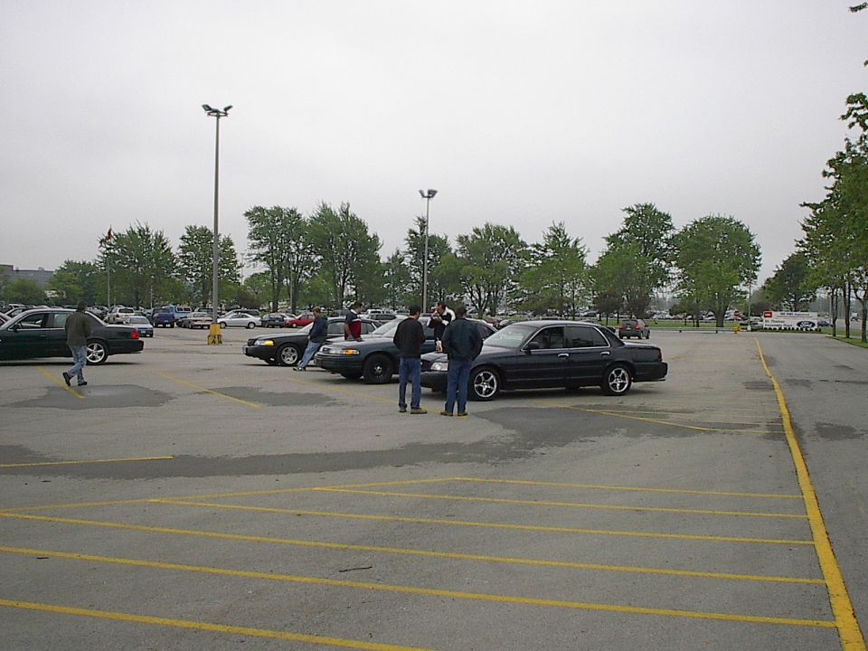 Several people stand around a row of sedans in a parking lot.