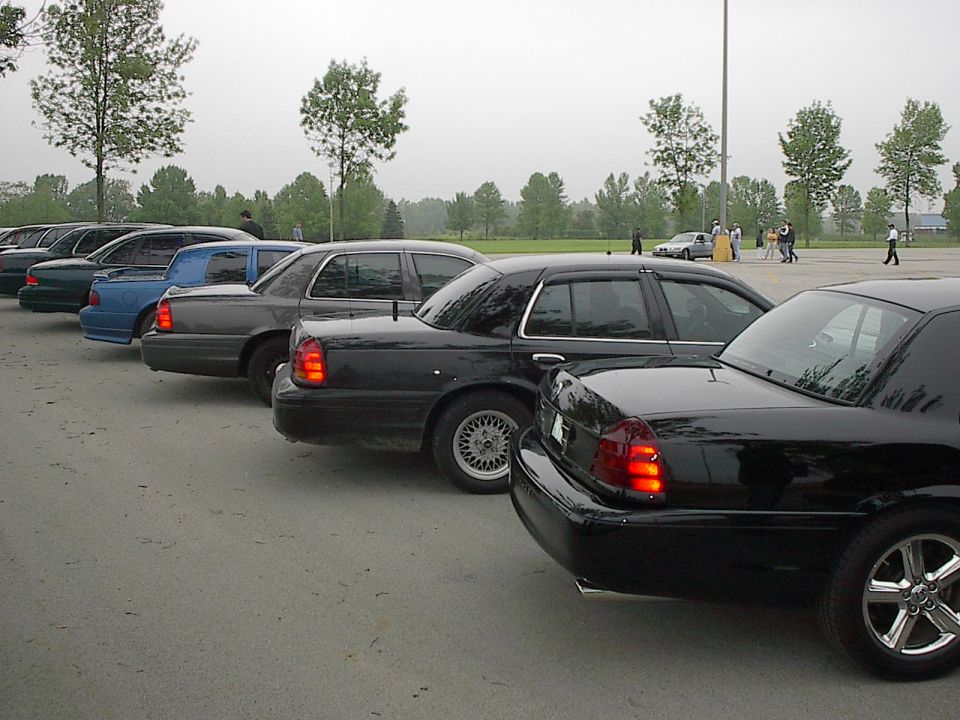 Black sedan parked in a line of cars, rear view.