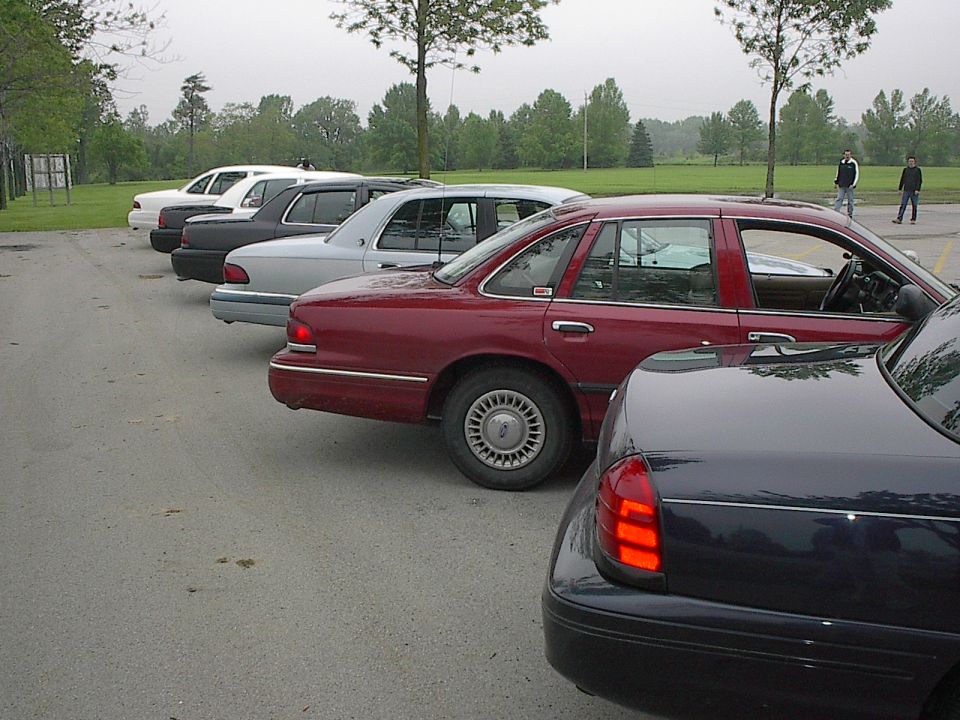 Line of sedans parked on wet asphalt.