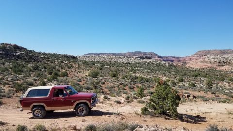 1985 Ford Bronco - A classic Ford Bronco navigates a dusty trail through a scenic desert landscape under a clear blue sky.