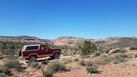 1985 Ford Bronco - A two-tone Ford Bronco is parked in a dry, arid landscape under a clear blue sky.