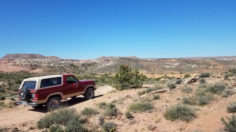 1985 Ford Bronco - A red and tan 1985 Ford Bronco navigates a dusty trail through a scenic desert environment under a clear blue sky.