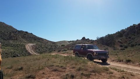 1985 Ford Bronco - A red SUV navigates a dusty trail through arid hills on a sunny day.