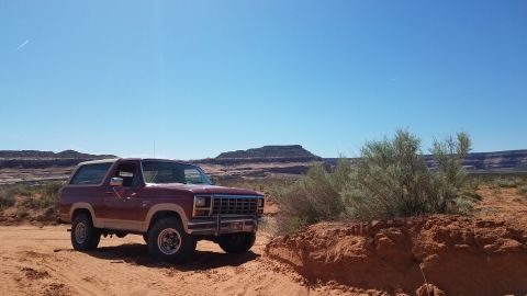 1985 Ford Bronco - A red Ford Bronco from the early 1980s is parked in a desert environment under a clear blue sky.