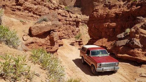 1985 Ford Bronco - A red Ford Bronco navigates a rocky canyon trail under a clear sky.