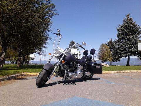 2000 Harley-Davidson Softail “Black Betty - Back In Black!!!”