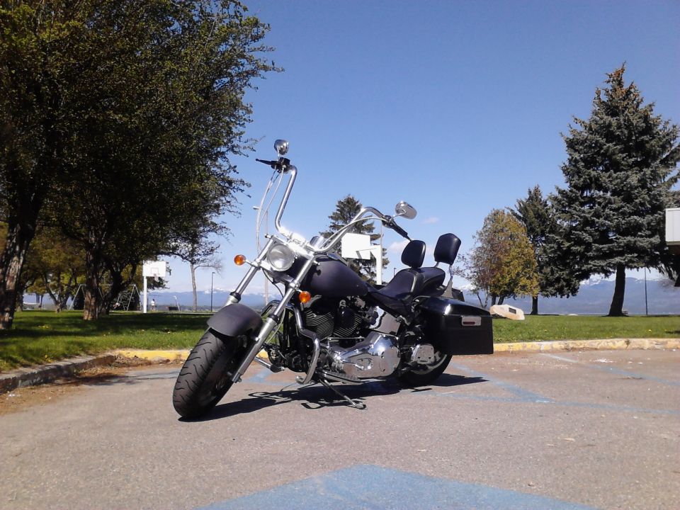Dark colored Harley-Davidson motorcycle parked on asphalt, trees and blue sky in background