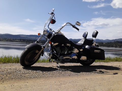 2000 Harley-Davidson Softail “Black Betty - Back In Black!!!”
