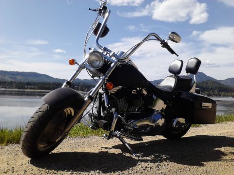 2000 Harley-Davidson Softail “Black Betty - Back In Black!!!”