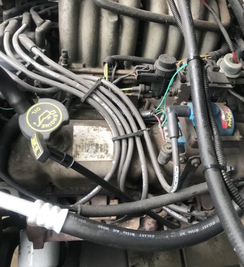 1995 Ford Bronco - Close-up view of an engine bay, showing spark plug wires, hoses, and an oil cap.