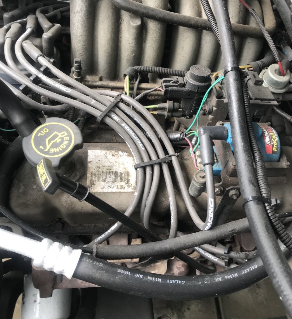 Engine bay with spark plug wires and oil cap
