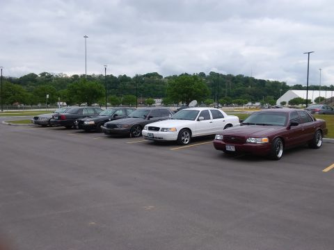 2004 Ford Crown Victoria - Several Ford Crown Victorias are parked in a lot under an overcast sky.