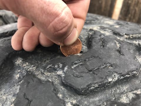 1984 Ford Bronco - A penny is used to measure the tread depth of a worn tire.