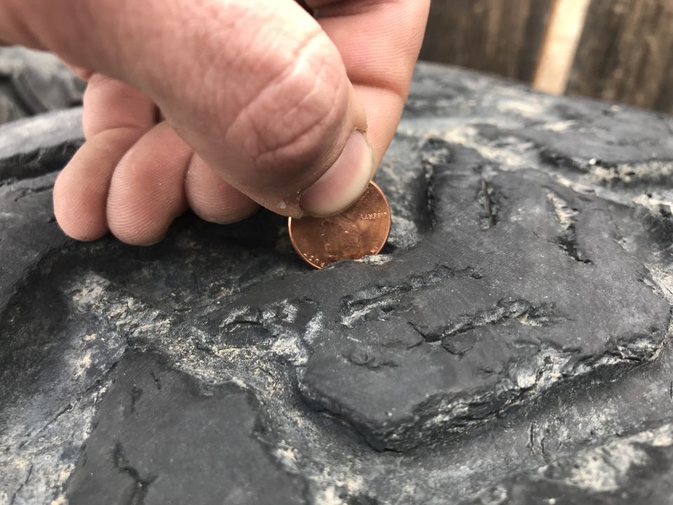 Hand holding a penny to show tire tread depth