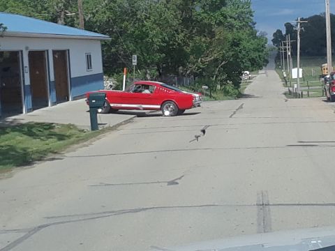 1994 Ford Bronco - A red 1965 Ford Mustang coupe is parked on the side of a street next to a building.