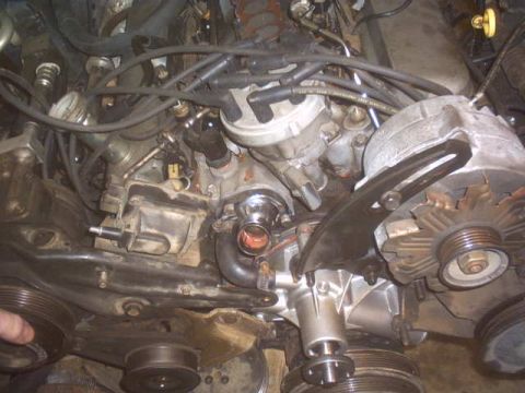 1991 Ford LTD Crown Victoria - Close-up view of an engine bay, showing the alternator, water pump, and various hoses and wires.