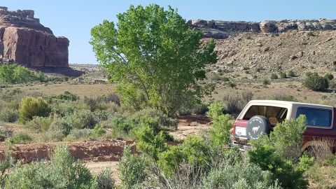 1985 Ford Bronco - A 1985 Ford Bronco is parked in a desert landscape with red rock formations in the background.