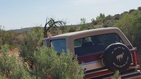 1985 Ford Bronco - This Ford Bronco appears to be from the early 1980s, not 1985, based on its body style.