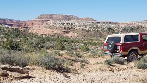 1985 Ford Bronco - A 1985 Ford Bronco is parked in a scenic desert environment with red rock formations in the background.