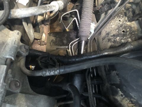 1995 Ford Bronco - A close-up view of the engine bay of a 1995 Ford Bronco, showing various hoses, lines, and wiring harnesses.