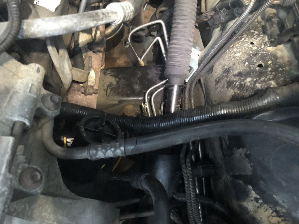 Engine bay of a 1995 Ford Bronco with hoses, lines, and wiring.
