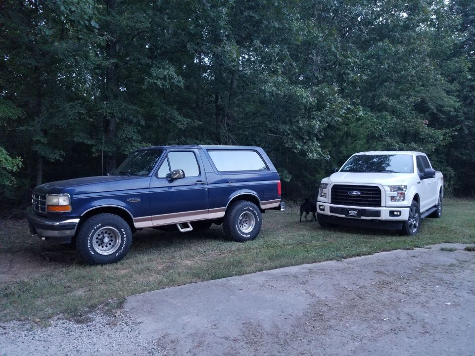 Blue 1990s Ford Bronco parked on grass next to a white Ford F-150