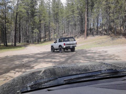 1995 Ford Bronco - White Ford Bronco with a black top drives on a dirt road through a wooded area.