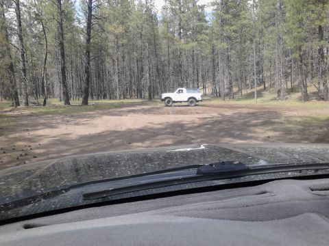 1995 Ford Bronco - A white 1995 Ford Bronco is parked in a clearing surrounded by pine trees.