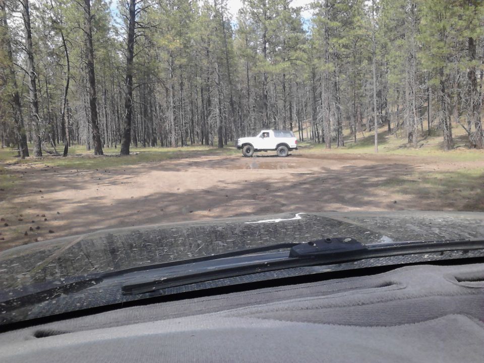 White 1995 Ford Bronco parked in a forest clearing