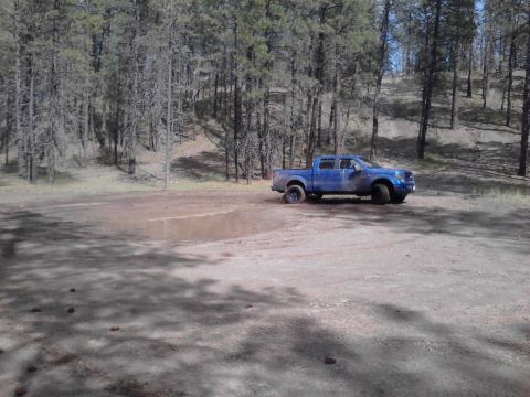 1995 Ford Bronco - A blue pickup truck sits off-road in a wooded area with a muddy puddle nearby.