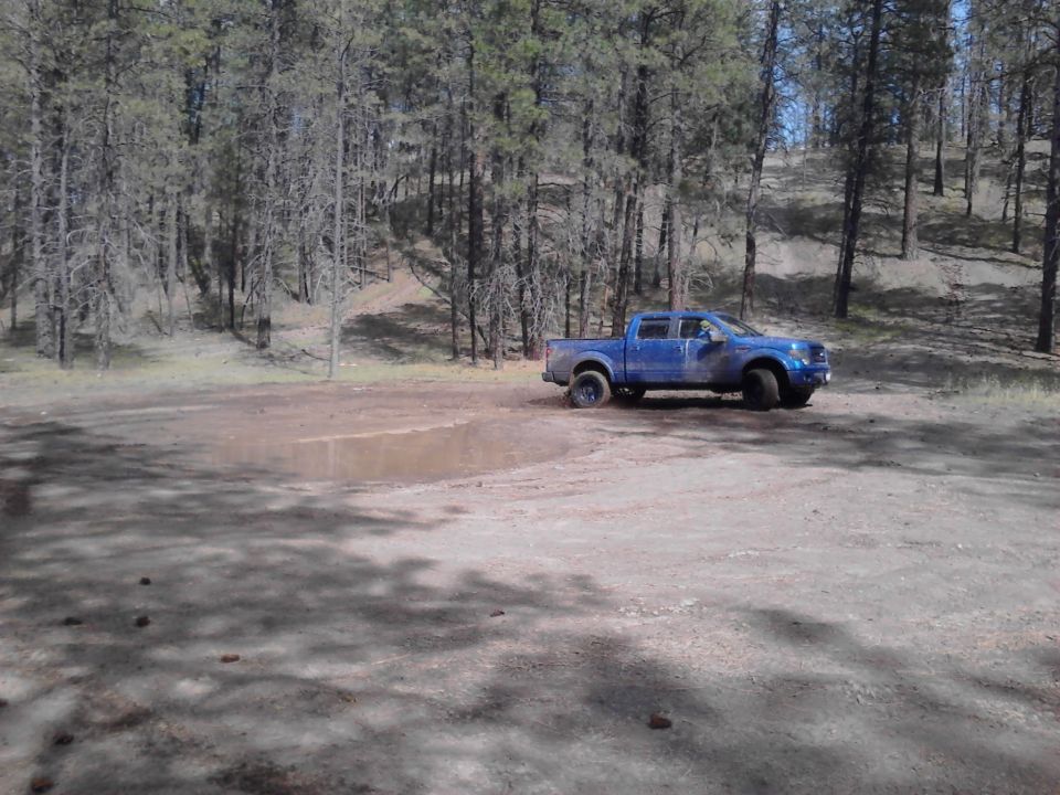 Blue pickup truck parked on dirt road near puddle in forest