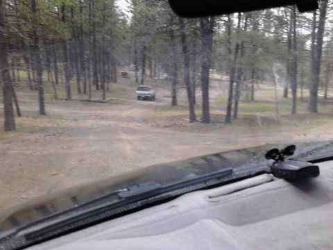 1995 Ford Bronco - A white SUV drives away on a dirt road through a pine forest, with another vehicle visible in the distance.