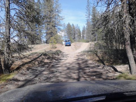 1995 Ford Bronco - A blue pickup truck navigates an off-road trail through a wooded area.