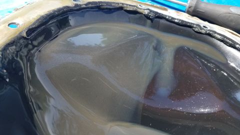 1985 Ford Bronco - This image shows the inside of a differential cover with fluid and metal shavings, indicating wear.