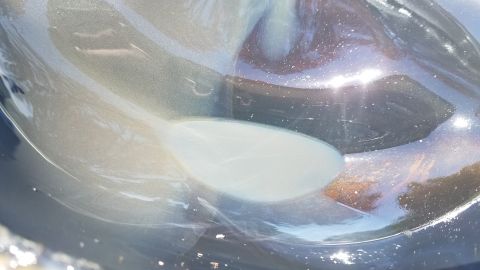 1985 Ford Bronco - A close-up view of a car's body panel, showing reflections and a distinct oval indentation.