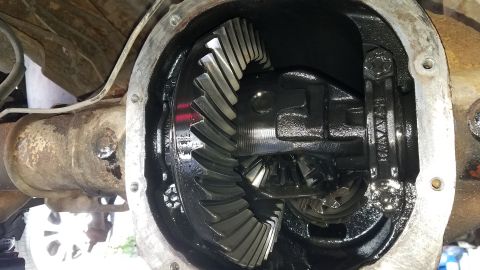 1985 Ford Bronco - Close-up view of differential gears, showing internal components and a stamped part number.