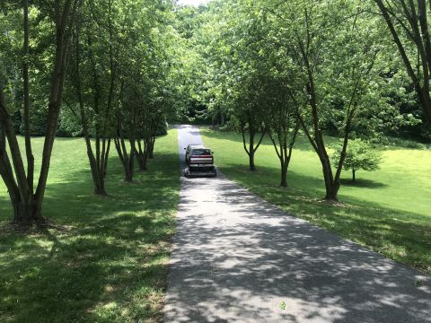 1994 Ford Bronco - 1994 Ford Bronco seen from the rear on a tree-lined driveway.