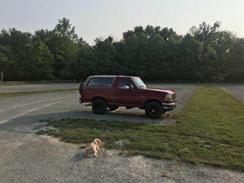 1994 Ford Bronco - A red Ford Bronco is parked in a gravel lot with a small dog in front of it.